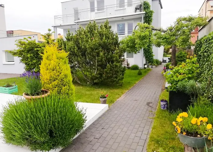 Malmaris * Władysławowo